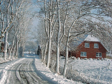 Foto aus der Fotogruppe 