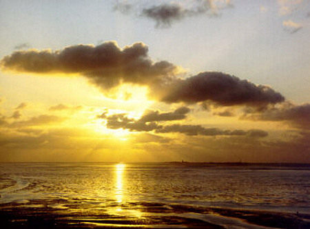 Foto aus der Fotogruppe 