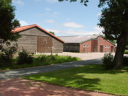 Foto aus der Fotogruppe 