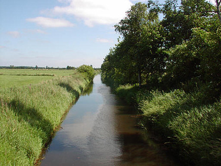 Foto aus der Fotogruppe 