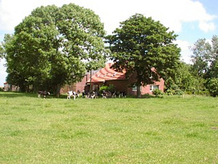 Foto aus der Fotogruppe 