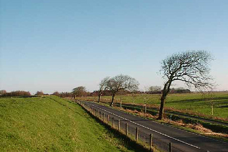 Foto aus der Fotogruppe 