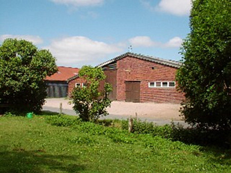 Foto aus der Fotogruppe 