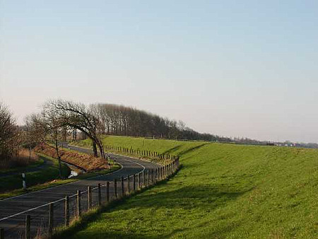 Foto aus der Fotogruppe 