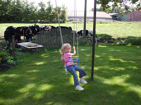 Foto aus der Fotogruppe 