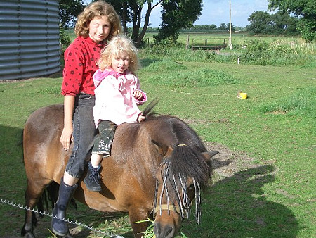 Foto aus der Fotogruppe 